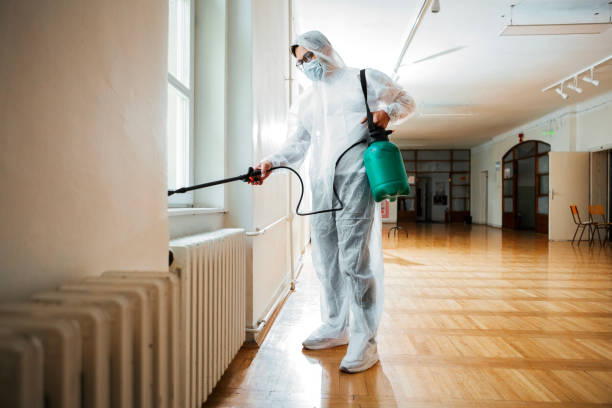 Best Residential Pest Control  in Mineola, TX